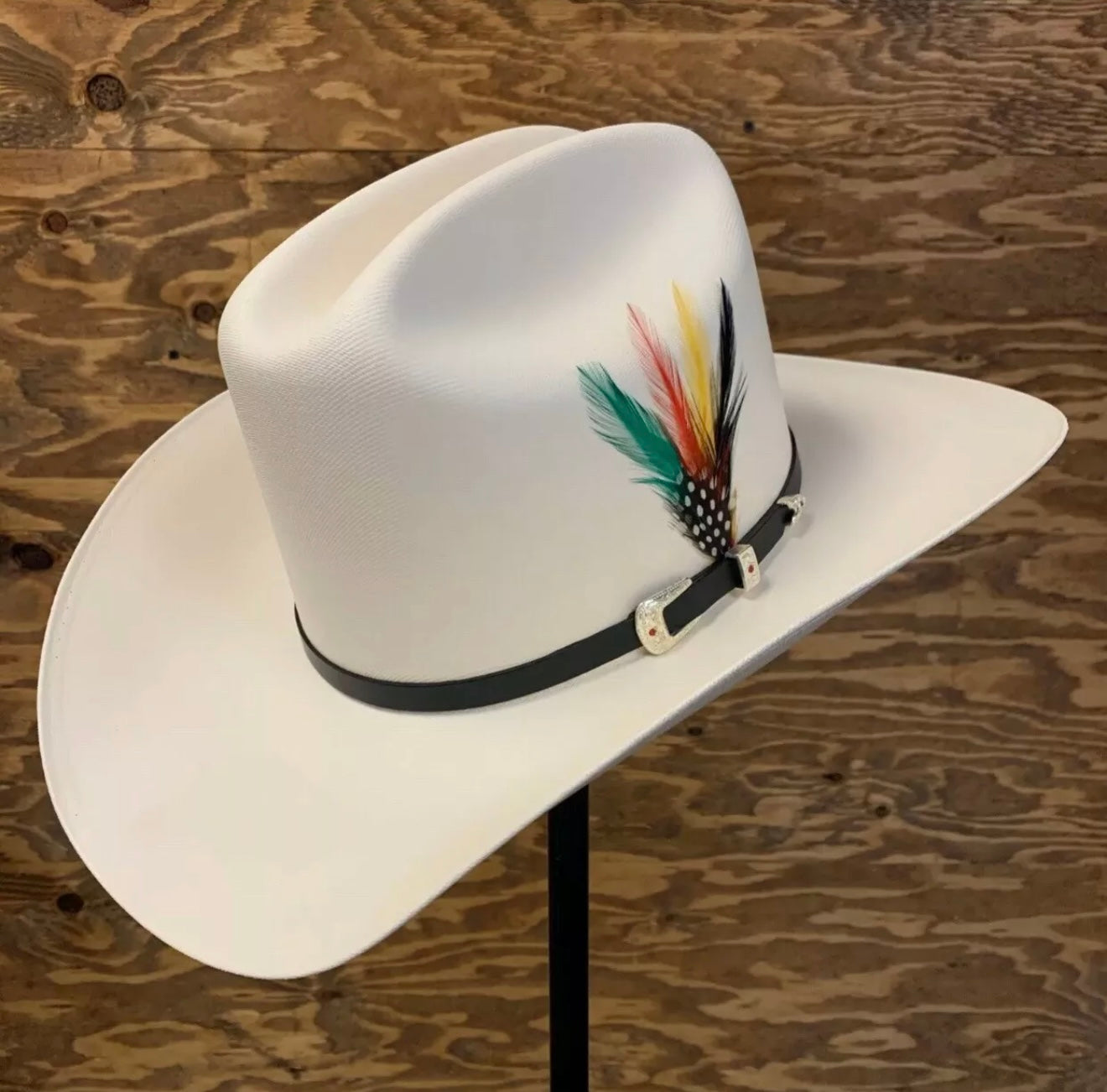 Pluma Stetson (Stetson Hat Feathers) (2 pack)