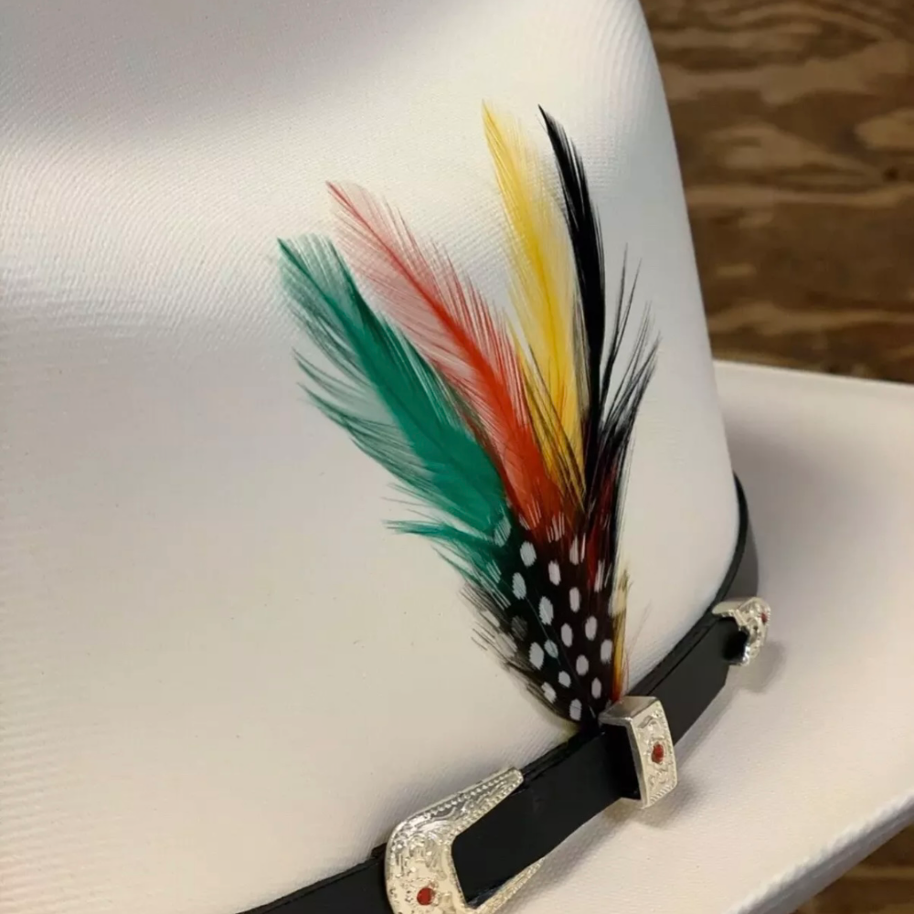 Pluma Stetson (Stetson Hat Feathers) (2 pack)